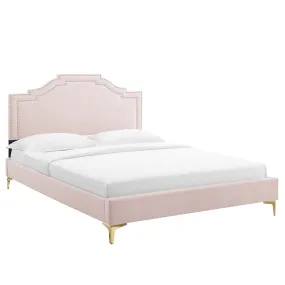 Adelaide Performance Velvet Queen Platform Bed By Modway - MOD-6580 - Pink