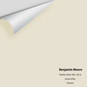 Benjamin Moore - Feather Down 953 / OC-6 Colour Sample