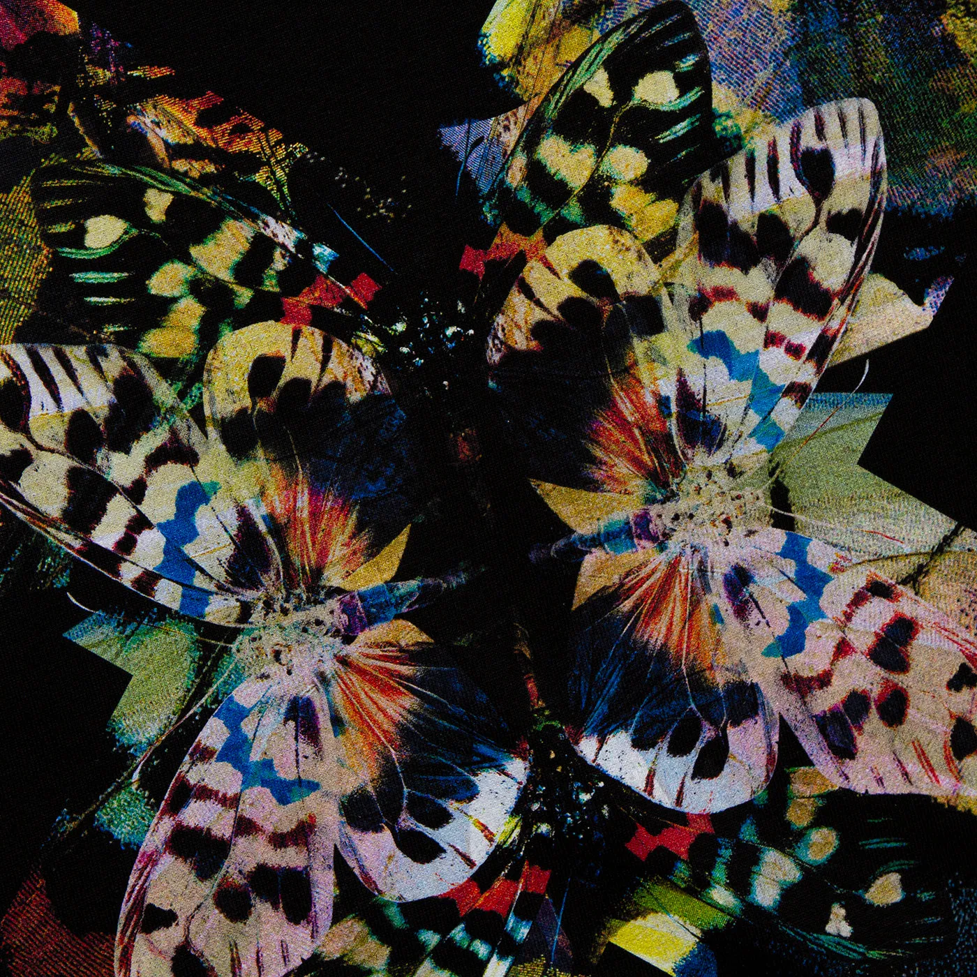Butterfly X Imprint - Sweatshirt - Black