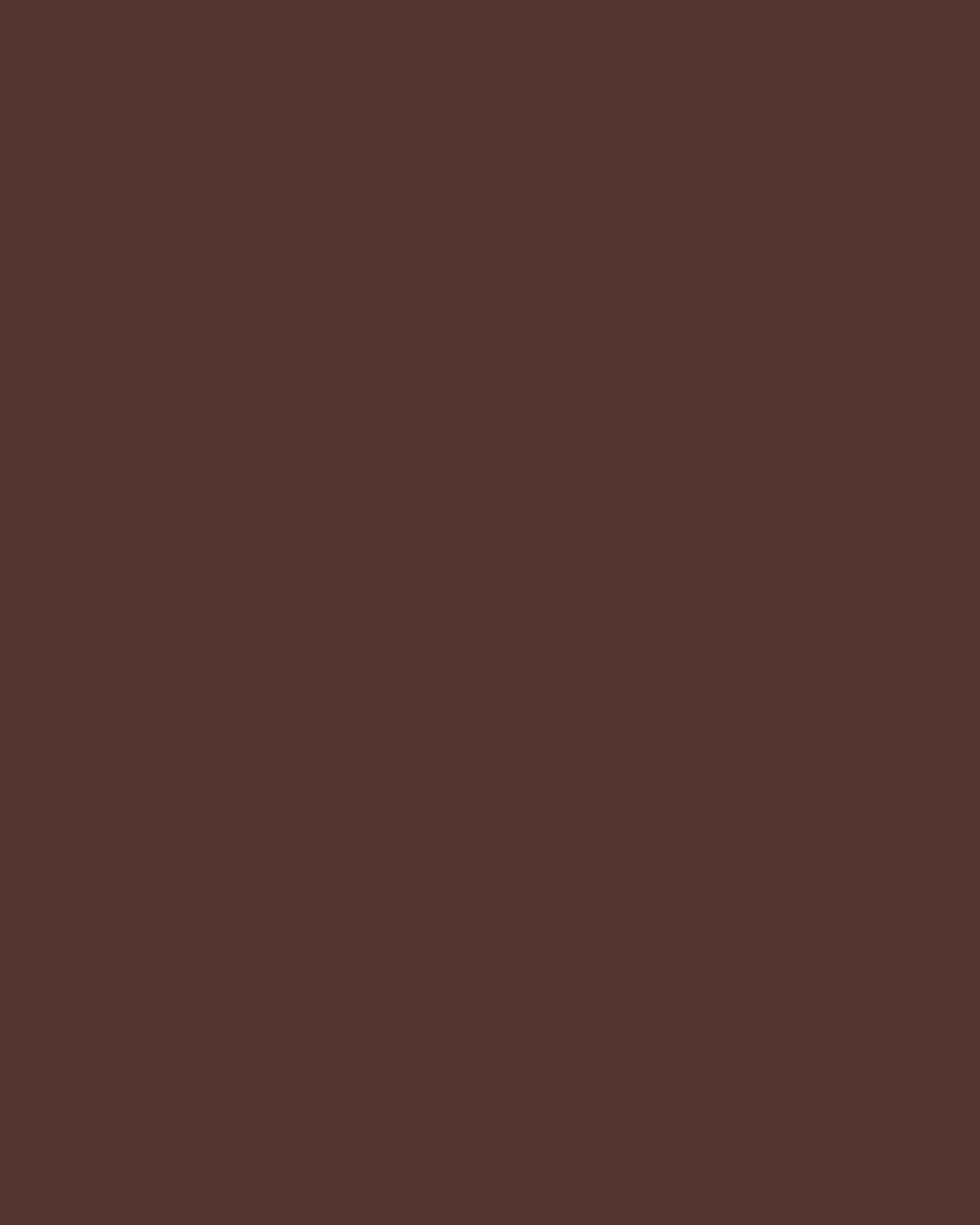 Chocolate Brown | Tech Chino Shorts