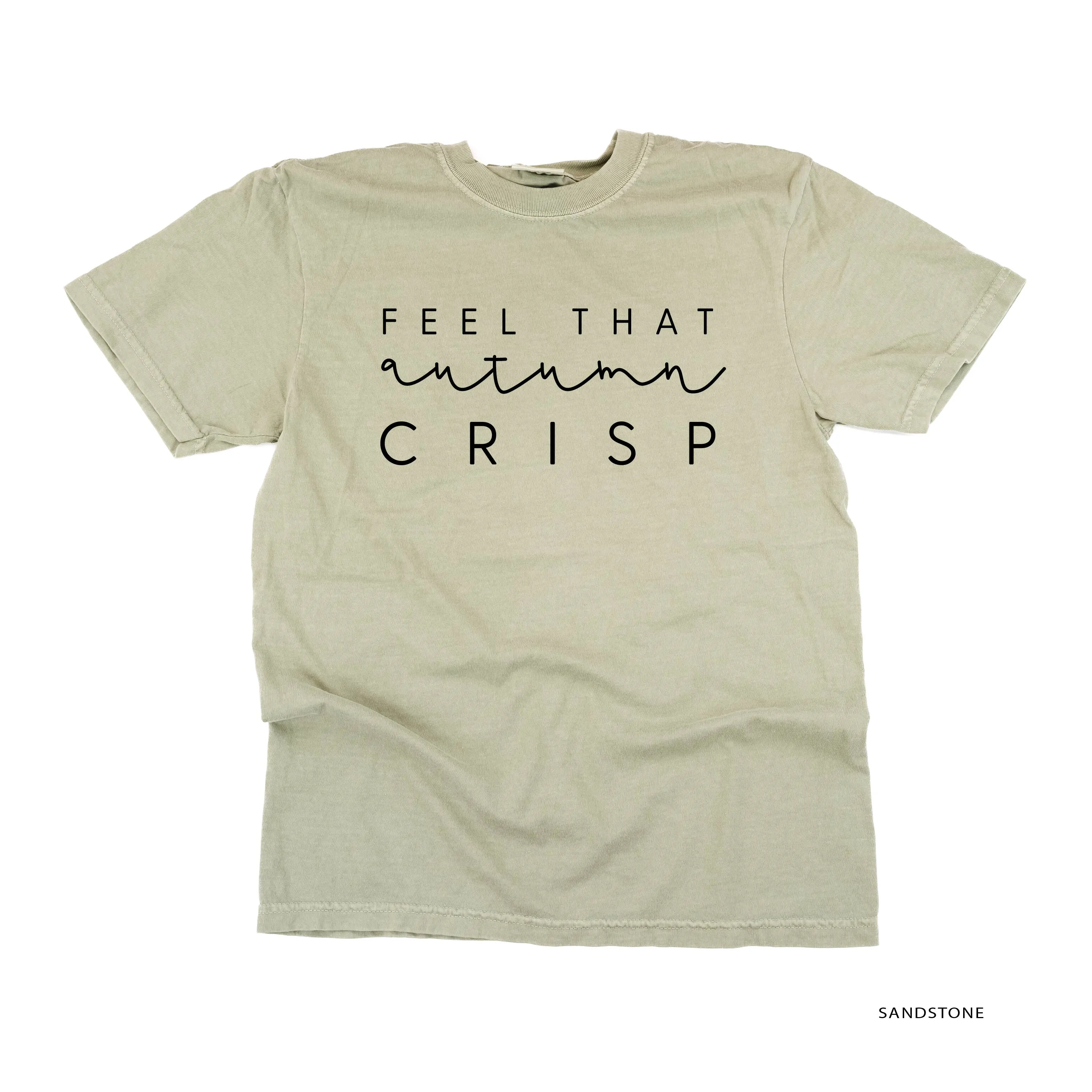 Feel That Autumn Crisp - SHORT SLEEVE COMFORT COLORS TEE