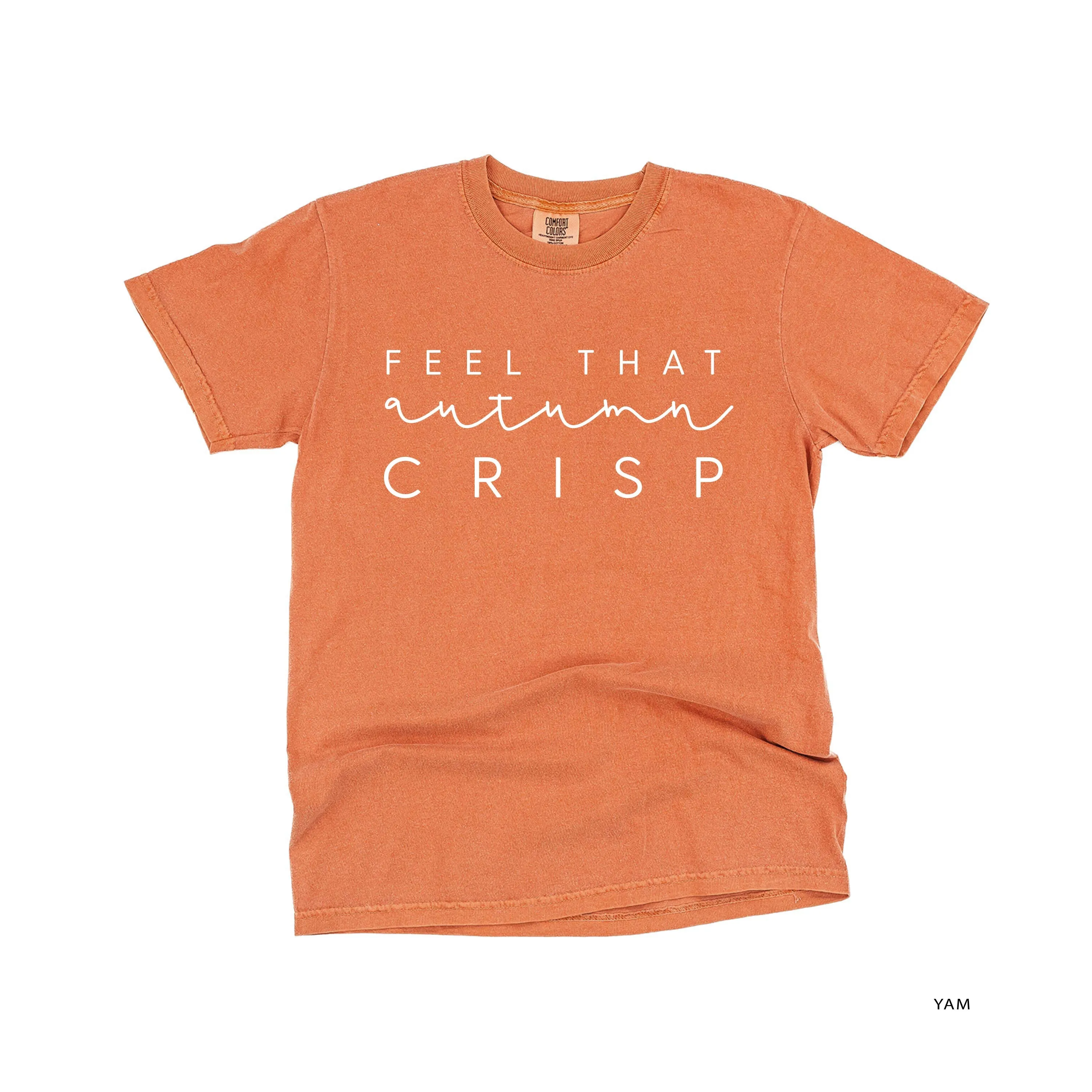 Feel That Autumn Crisp - SHORT SLEEVE COMFORT COLORS TEE