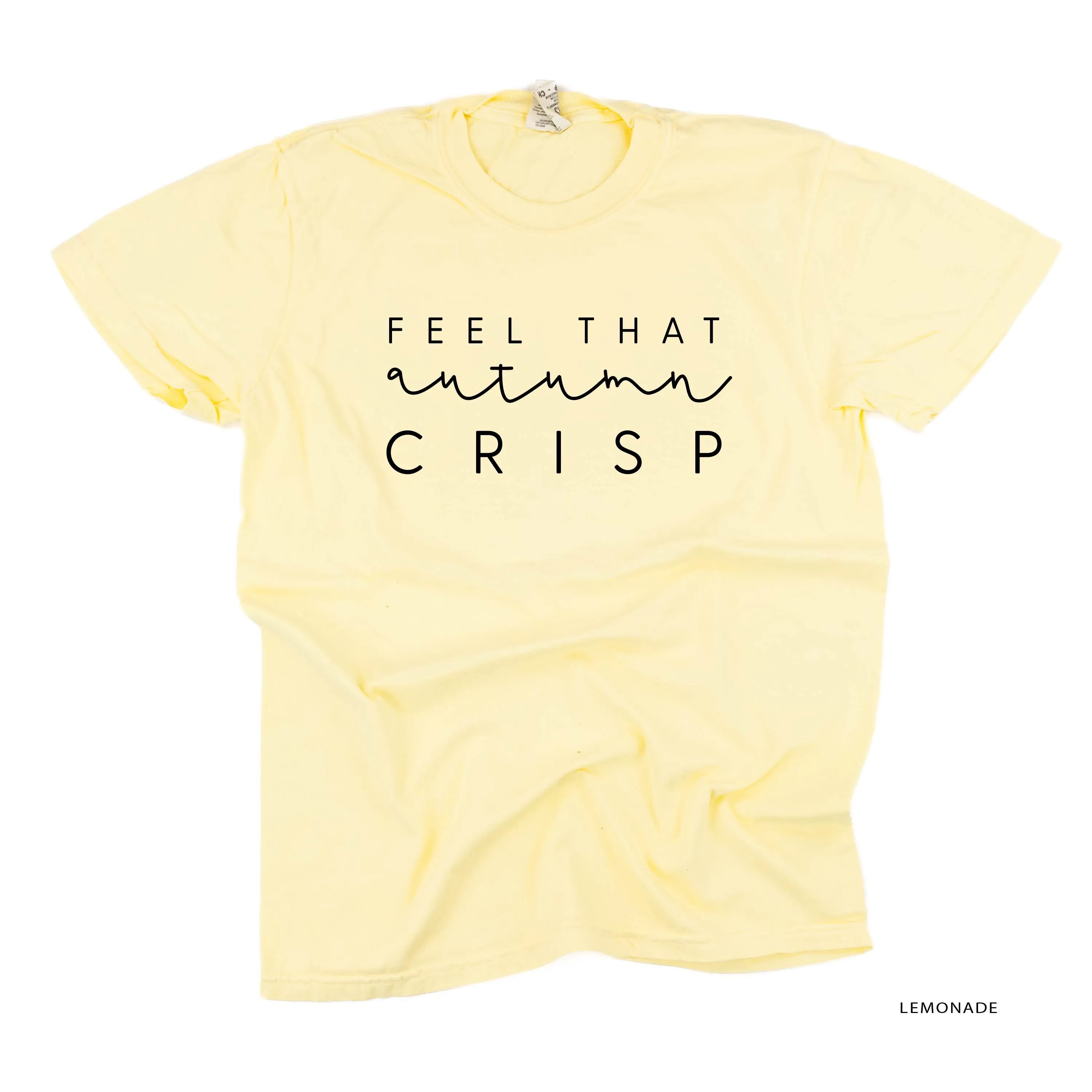 Feel That Autumn Crisp - SHORT SLEEVE COMFORT COLORS TEE