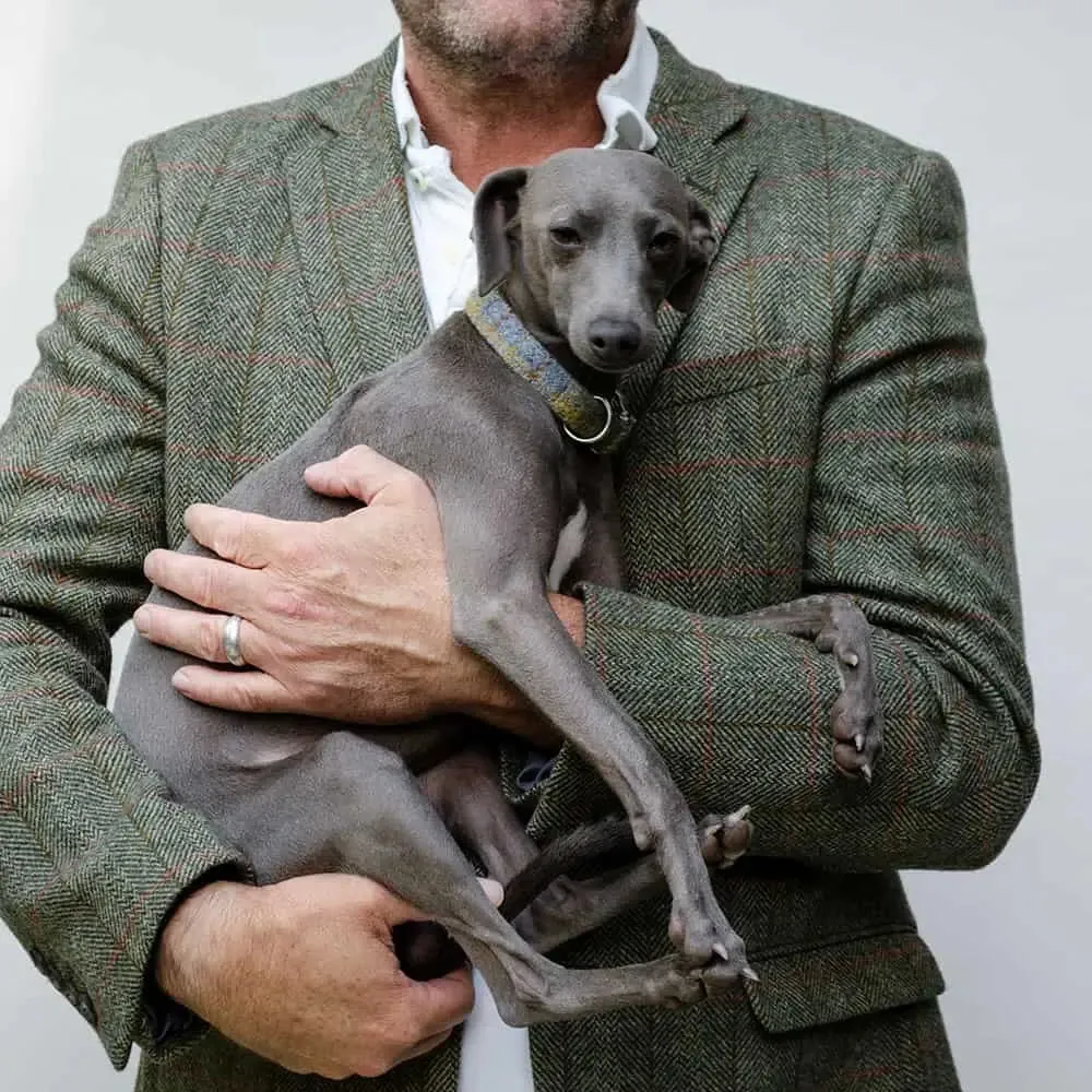 Hundehalsband Willy - Harris Tweed