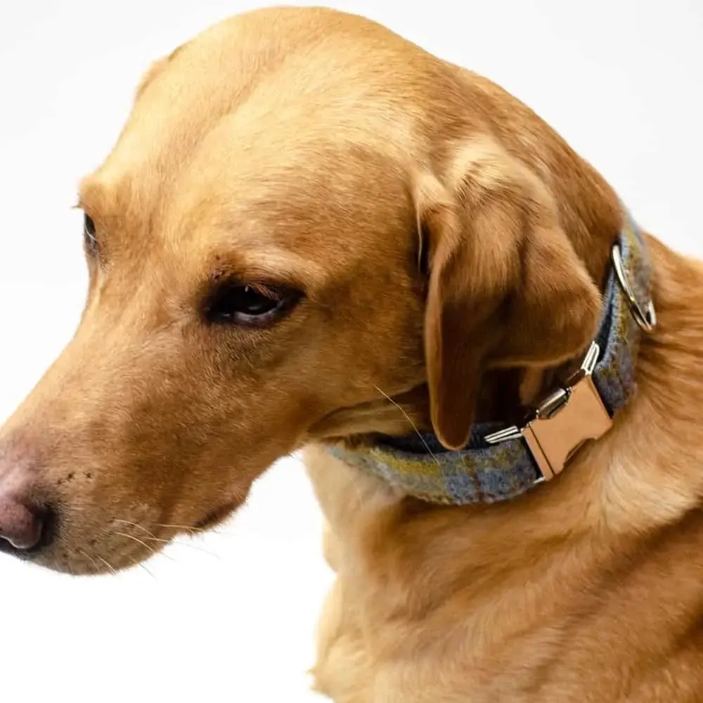 Hundehalsband Willy - Harris Tweed