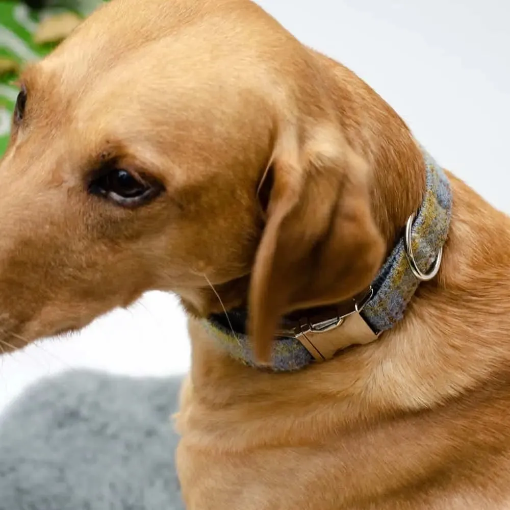 Hundehalsband Willy - Harris Tweed