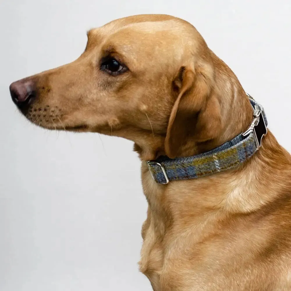 Hundehalsband Willy - Harris Tweed