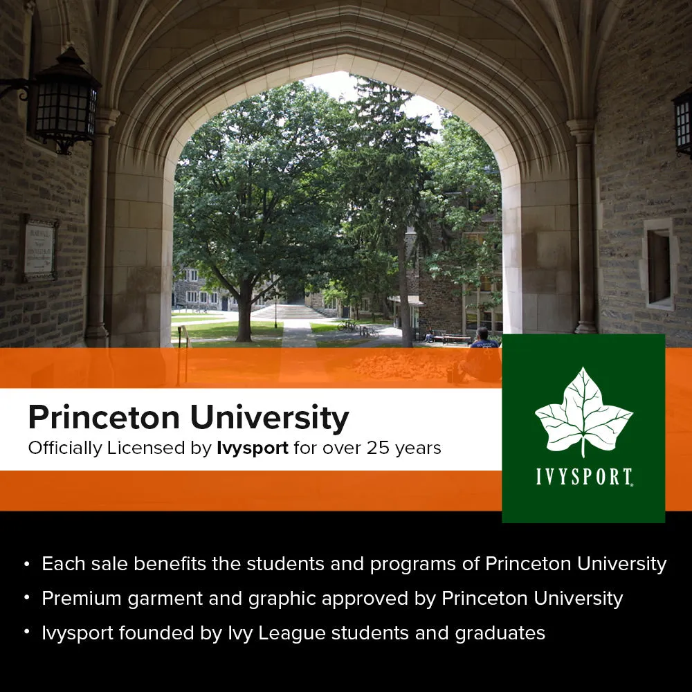 Princeton University Essential Sweatshirt (Heather Grey)