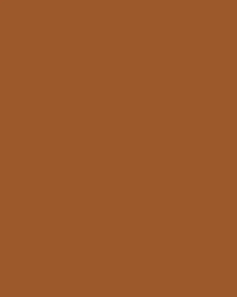 Rust | Tech Chino Shorts